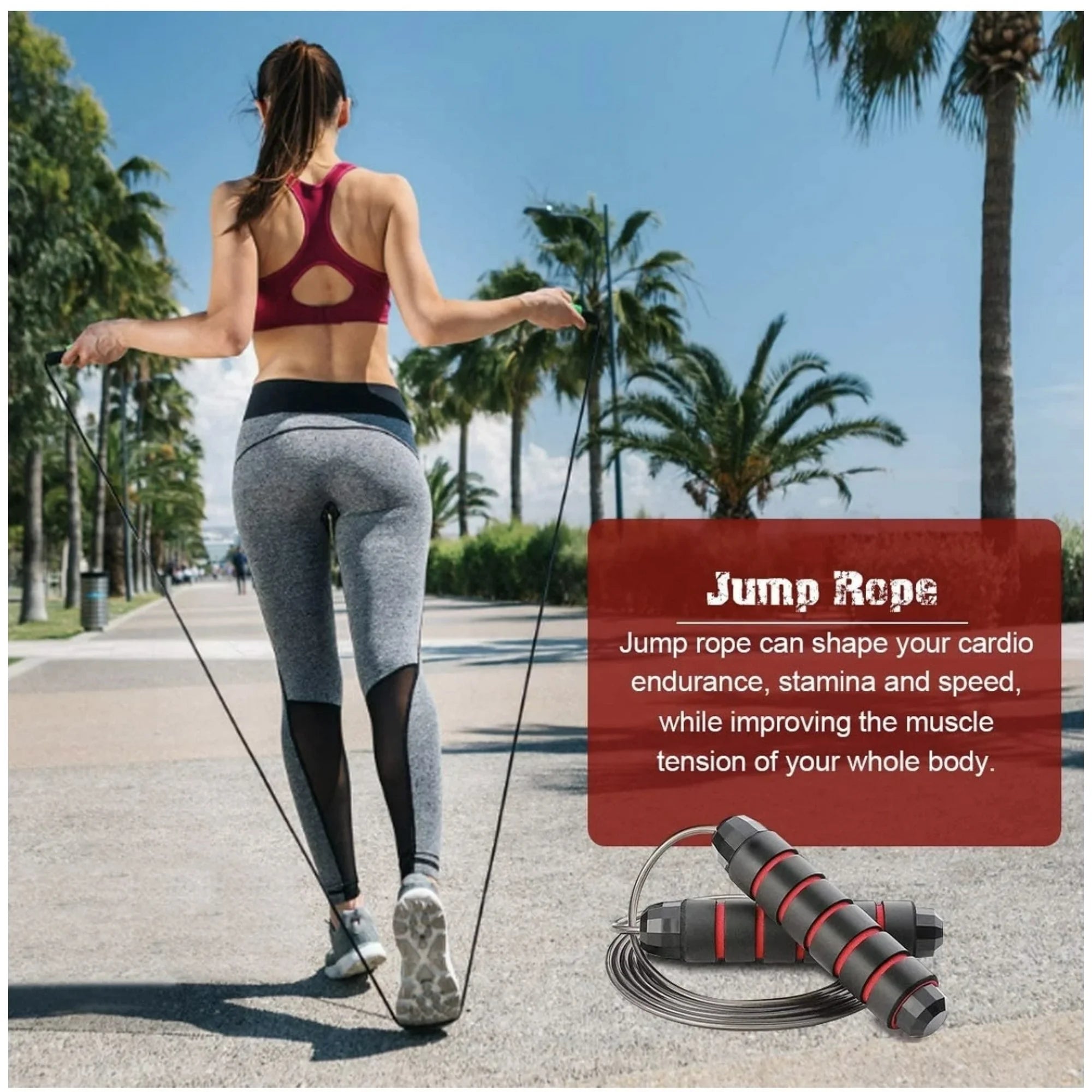 17-in-1 Ab Roller Wheel Kit Core & Home Gym Workout Set
